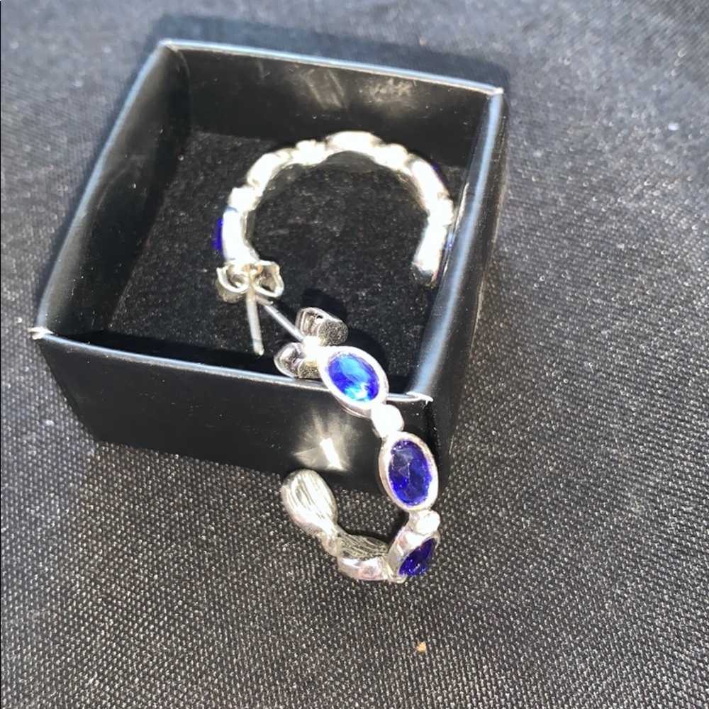 Beautiful blue and silver Avon earrings